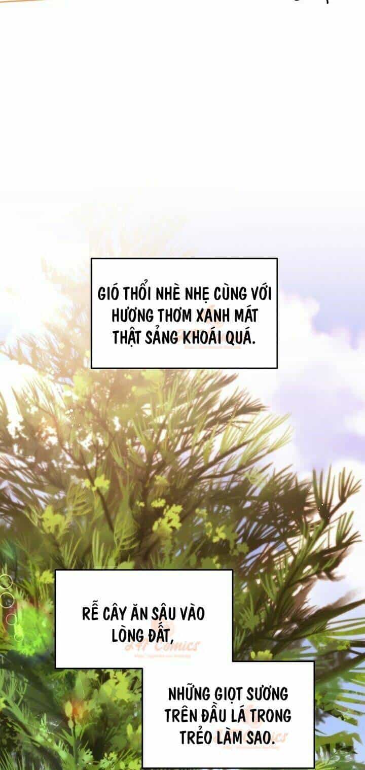 Tôi Chỉ Là Một Tiểu Thư Bình Thường - Chương 49 - ảnh 13