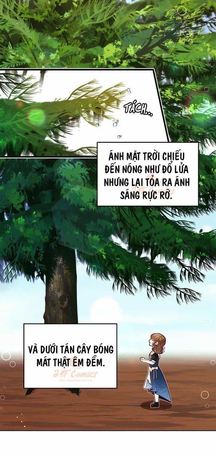 Tôi Chỉ Là Một Tiểu Thư Bình Thường - Chương 49 - ảnh 14