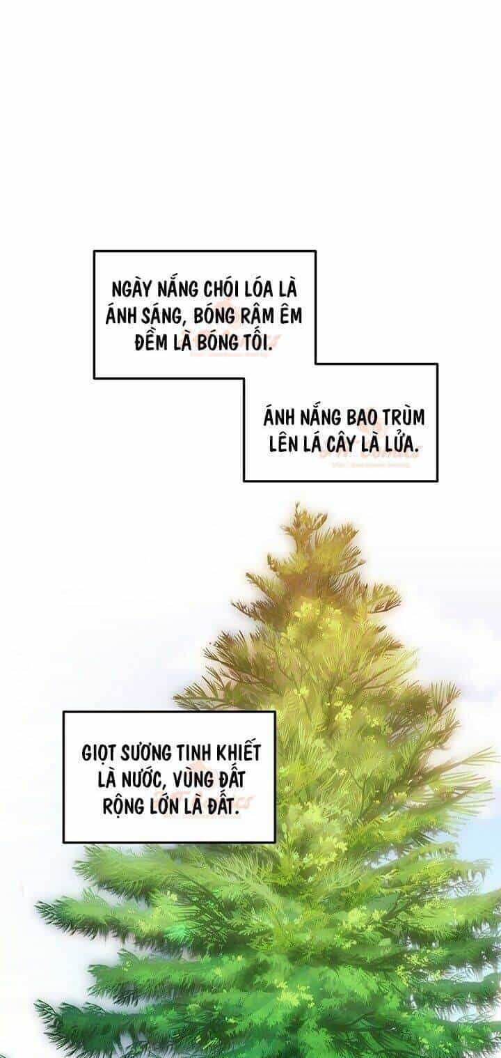 Tôi Chỉ Là Một Tiểu Thư Bình Thường - Chương 49 - ảnh 28