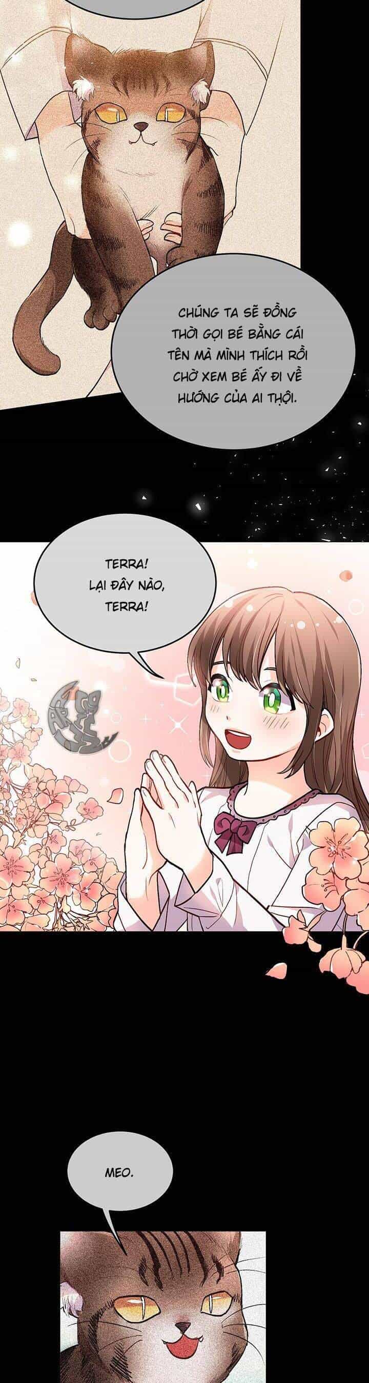 Tôi Chỉ Là Một Tiểu Thư Bình Thường - Chương 81 - ảnh 12