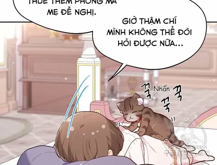 Tôi Chỉ Là Một Tiểu Thư Bình Thường - Chương 151 - ảnh 67