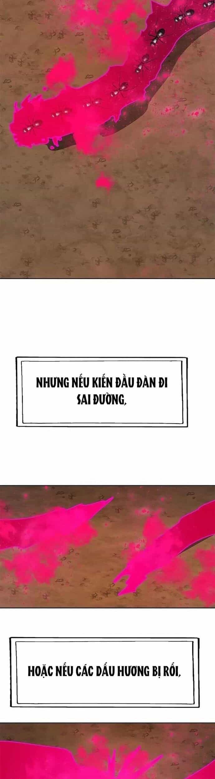 Tôi Chỉ Là Người Khuân Vác Trong Hầm Ngục - Chương 22 - ảnh 22