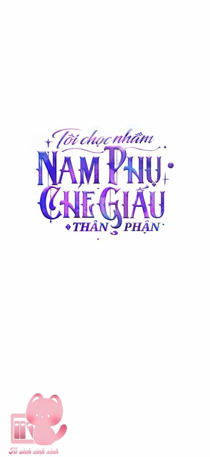Tôi Chọc Nhầm Nam Phụ Che Giấu Thân Phận - Chương 2 - ảnh 25