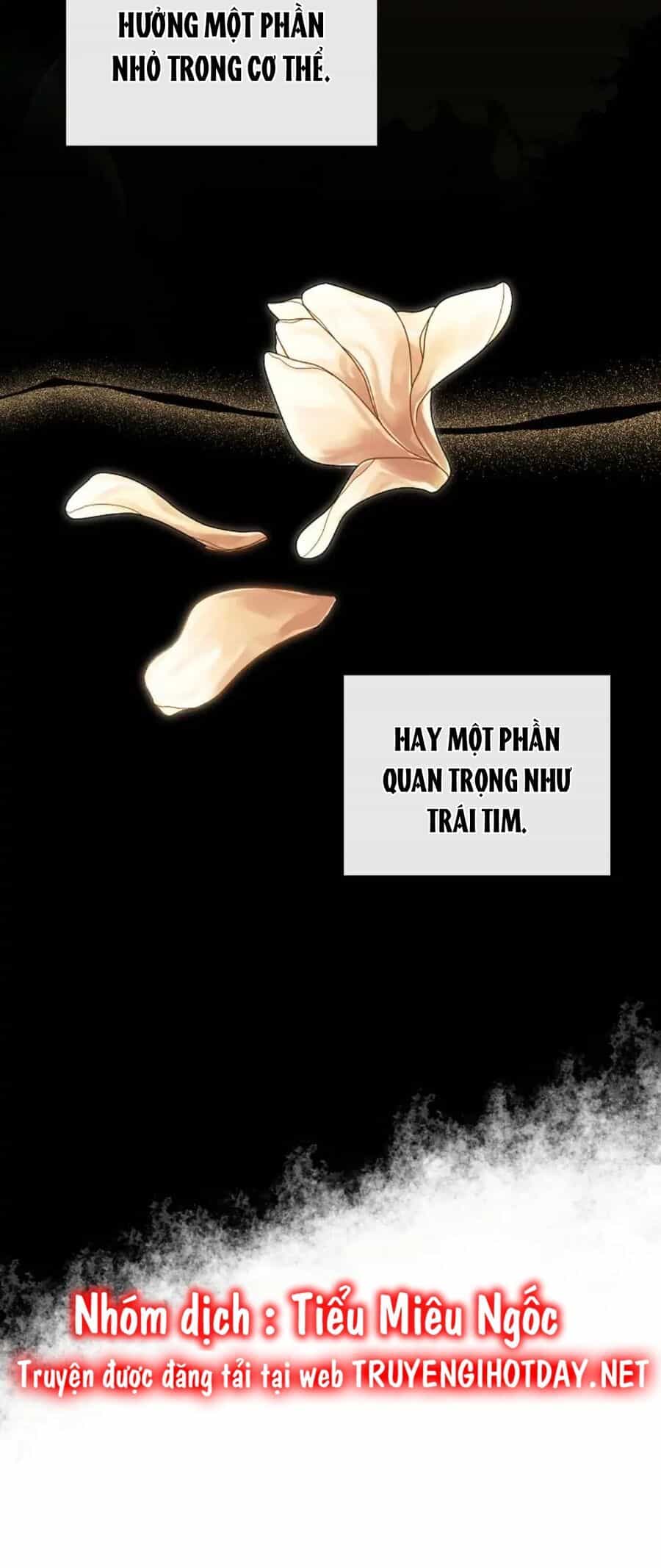 Tôi Chọc Nhầm Nam Phụ Che Giấu Thân Phận - Chương 36 - ảnh 56