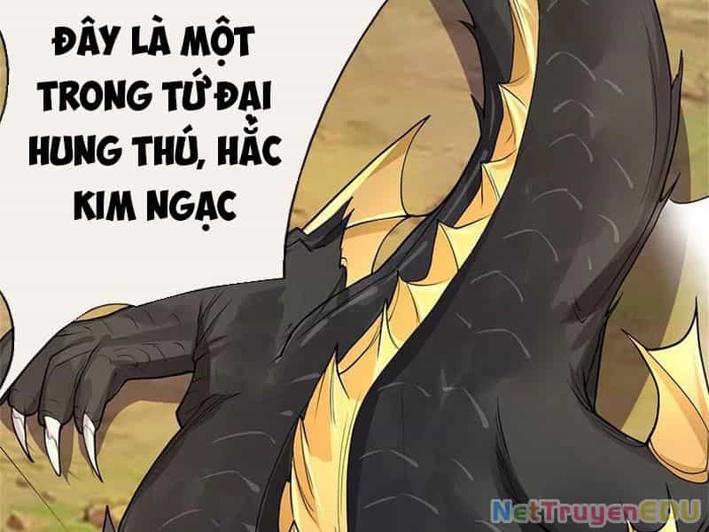Tôi Có Thể Nuốt Chửng Vạn Vật - Chương 31 - ảnh 11