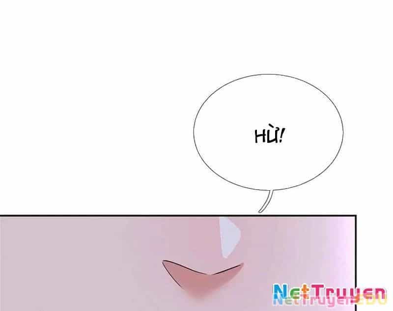Tôi Có Thể Nuốt Chửng Vạn Vật - Chương 65 - ảnh 21