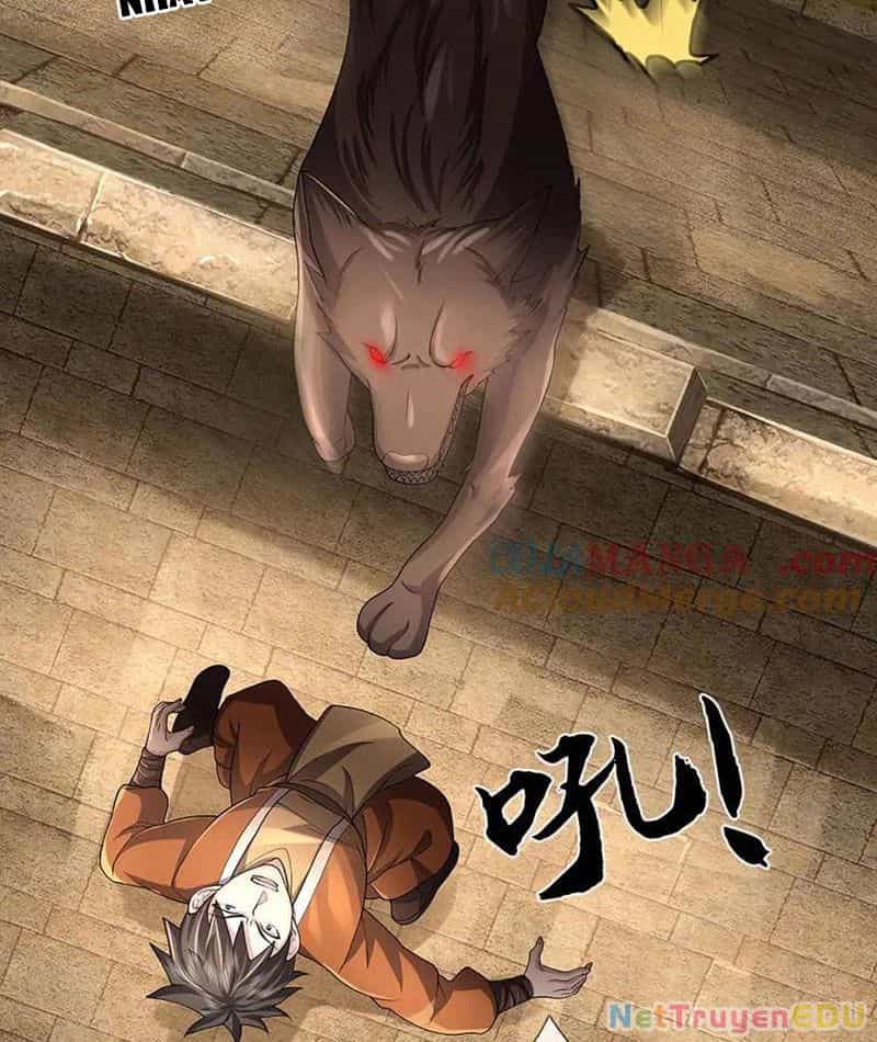Tôi Có Thể Nuốt Chửng Vạn Vật - Chương 71 - ảnh 51