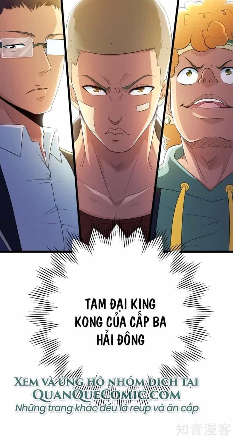 Tối Cường Đặc Chủng Binh Của Hoa Khôi - Chương 100 - ảnh 9