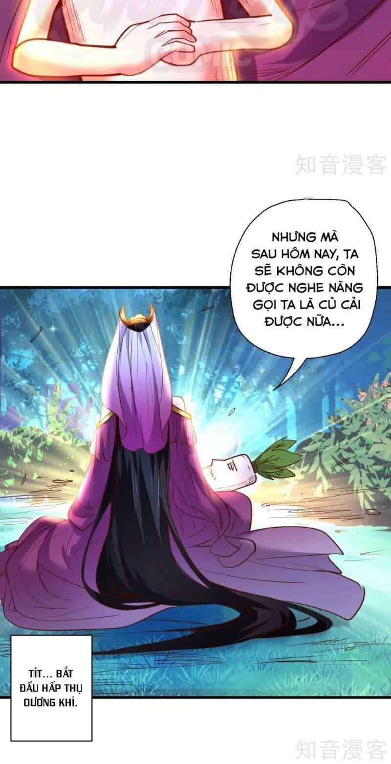 Tối Cường Đại Biểu Hoàng Kim Thận - Chương 69 - ảnh 18