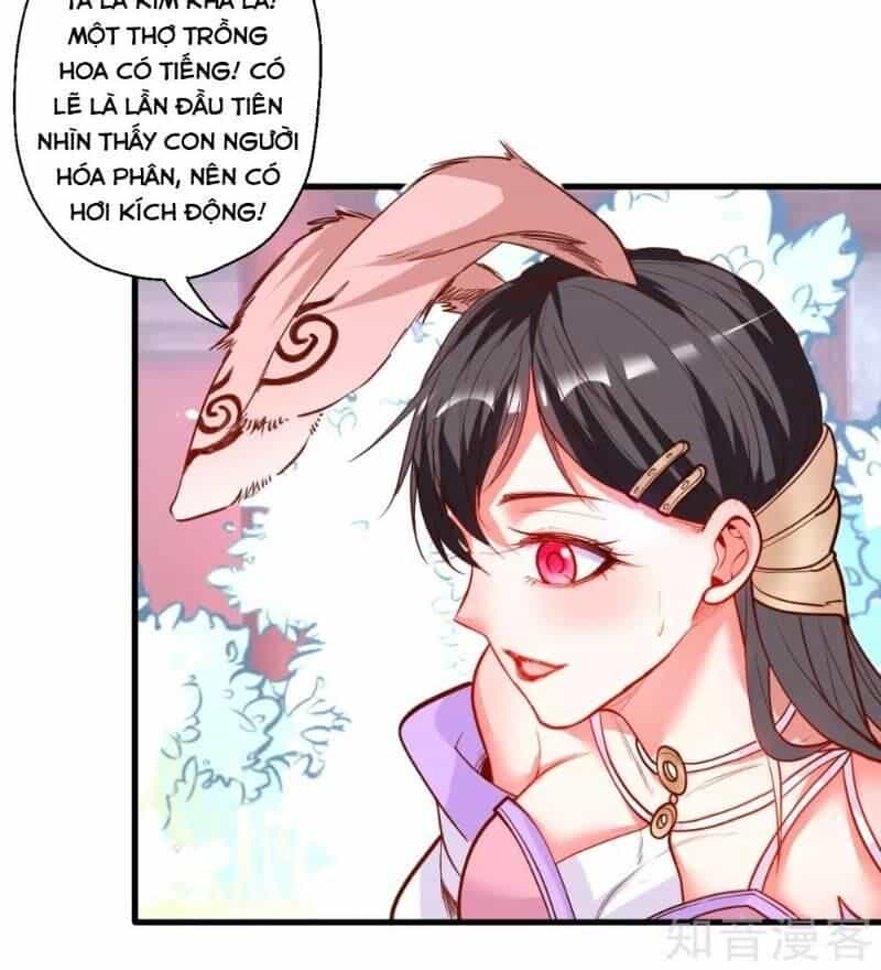 Tối Cường Đại Biểu Hoàng Kim Thận - Chương 82 - ảnh 42