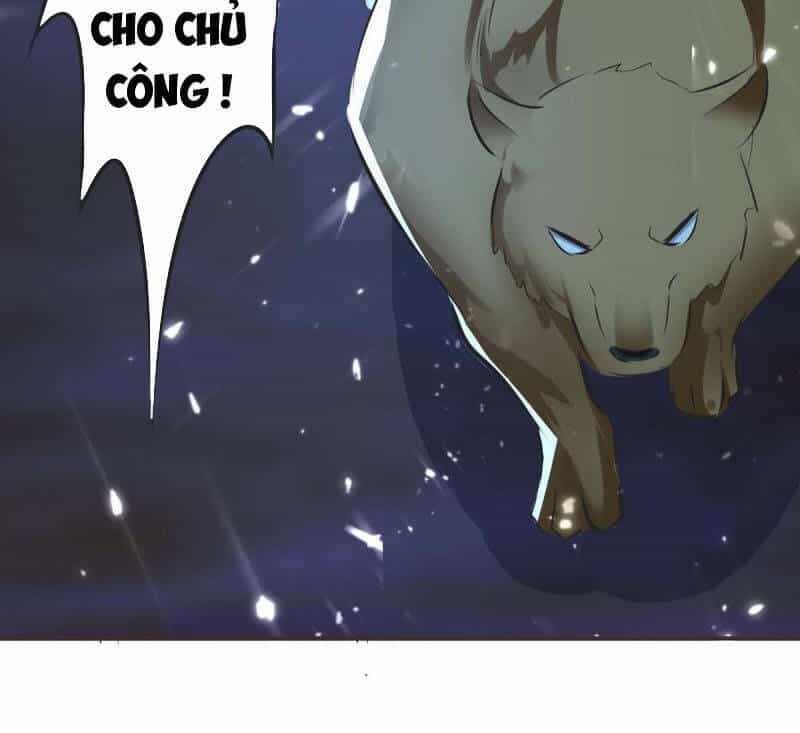 Tối Cường Thăng Cấp - Chương 206 - ảnh 21
