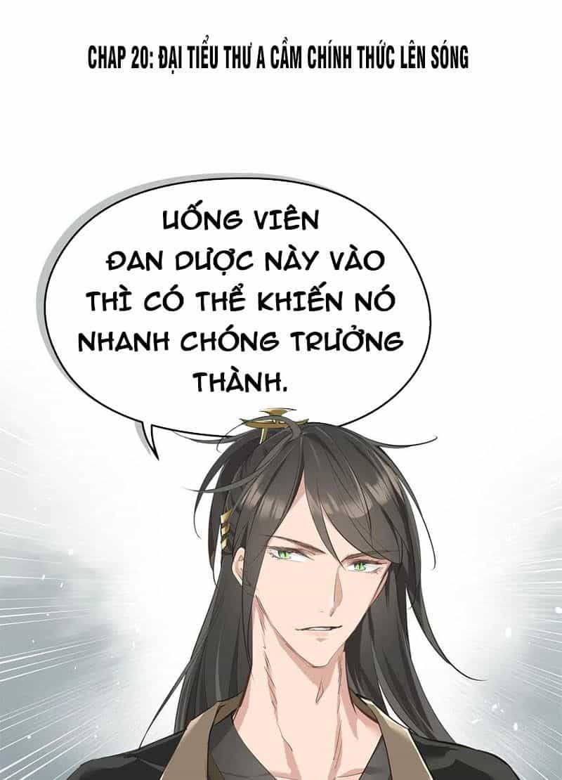 Tối Cường Thiên Đế Hệ Thống - Chương 20 - ảnh 2