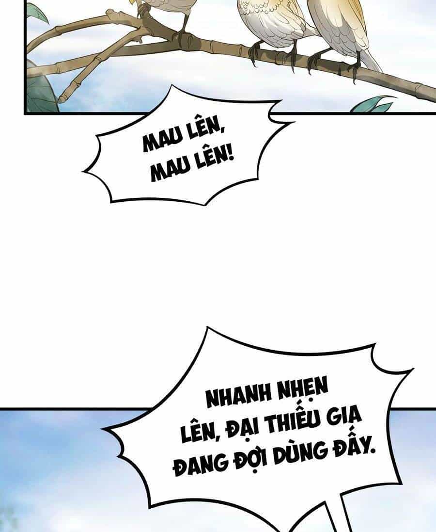 Tối Cường Thôn Phệ Hệ Thống - Chương 12 - ảnh 6