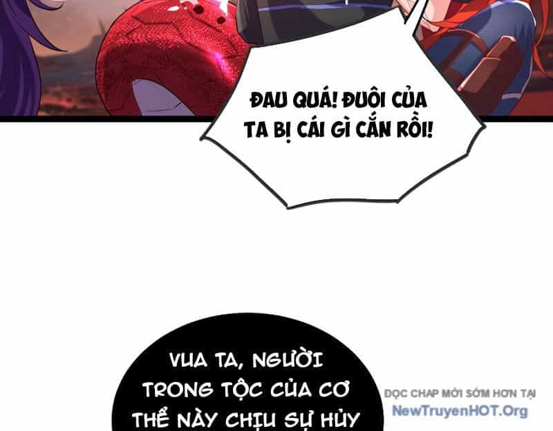 Tối Cường Tinh Thú Sư - Chương 12 - ảnh 84