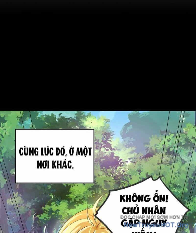 Tối Cường Tinh Thú Sư - Chương 14 - ảnh 61