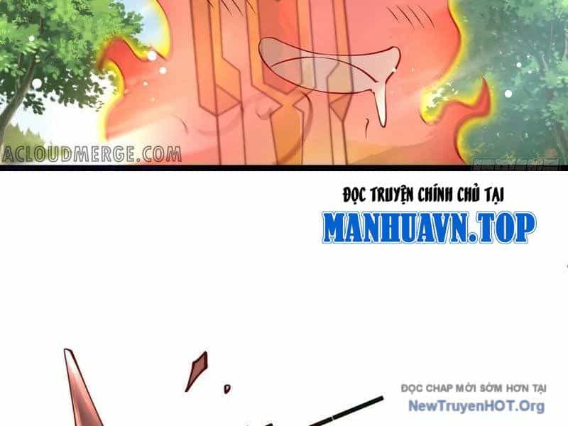 Tối Cường Tinh Thú Sư - Chương 15 - ảnh 61