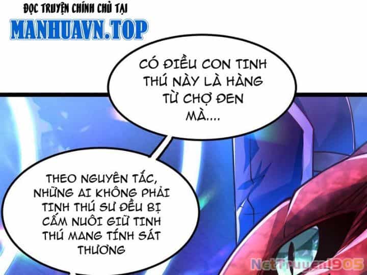 Tối Cường Tinh Thú Sư - Chương 2 - ảnh 14