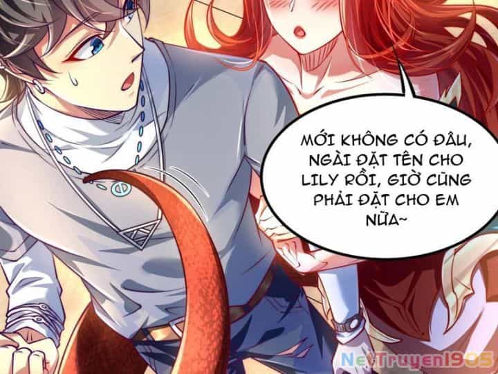 Tối Cường Tinh Thú Sư - Chương 2 - ảnh 35
