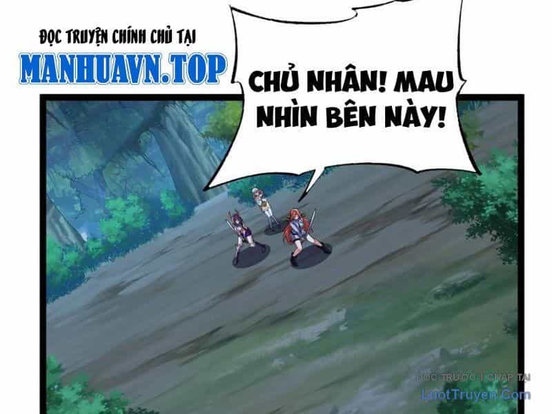 Tối Cường Tinh Thú Sư - Chương 26 - ảnh 81