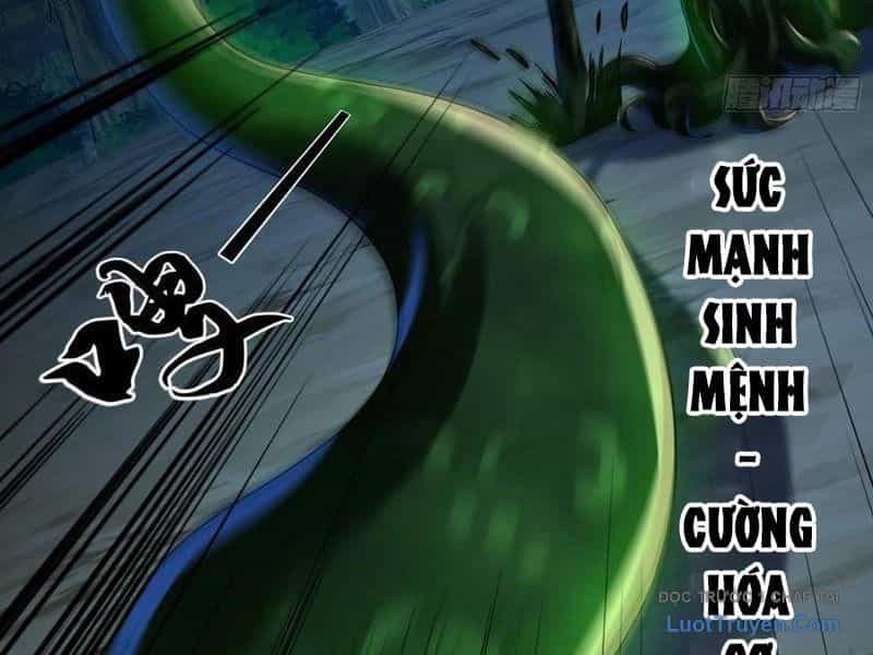 Tối Cường Tinh Thú Sư - Chương 28 - ảnh 32