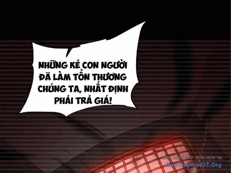 Tối Cường Tinh Thú Sư - Chương 9 - ảnh 35