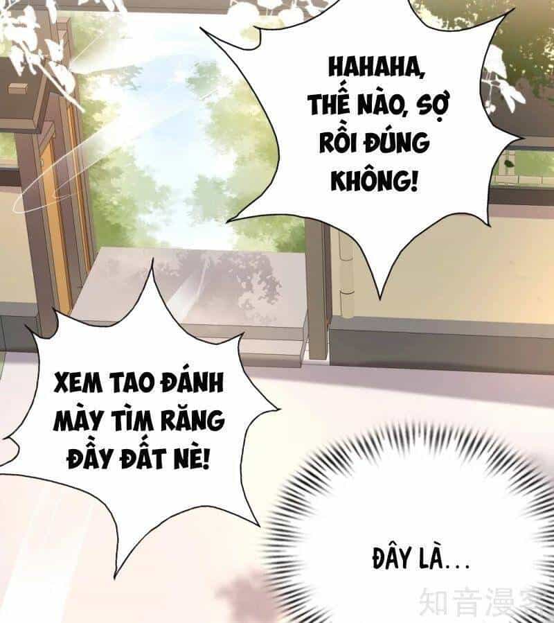 Tối Cường Vận Đào Hoa - Chương 190 - ảnh 28