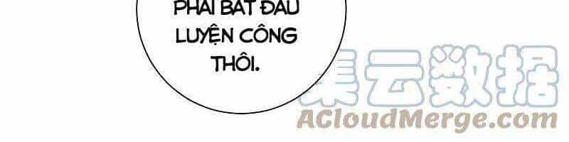 Tối Cường Vận Đào Hoa - Chương 247 - ảnh 4