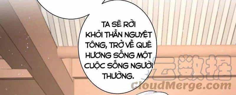 Tối Cường Vận Đào Hoa - Chương 262 - ảnh 4
