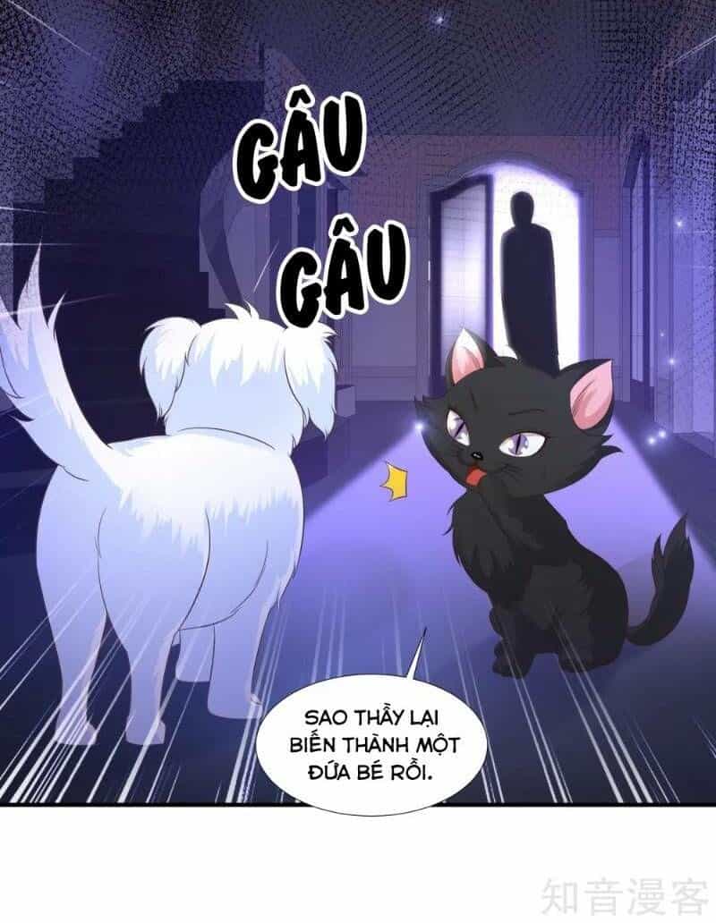 Tối Cường Vận Đào Hoa - Chương 77 - ảnh 11