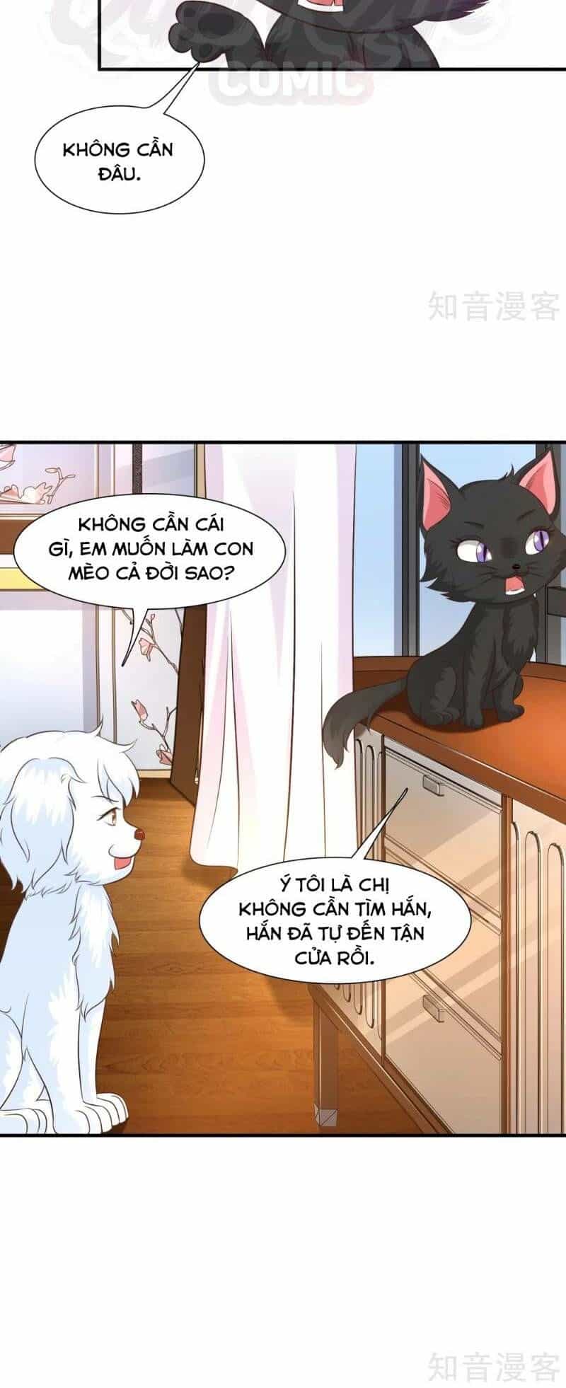Tối Cường Vận Đào Hoa - Chương 79 - ảnh 18