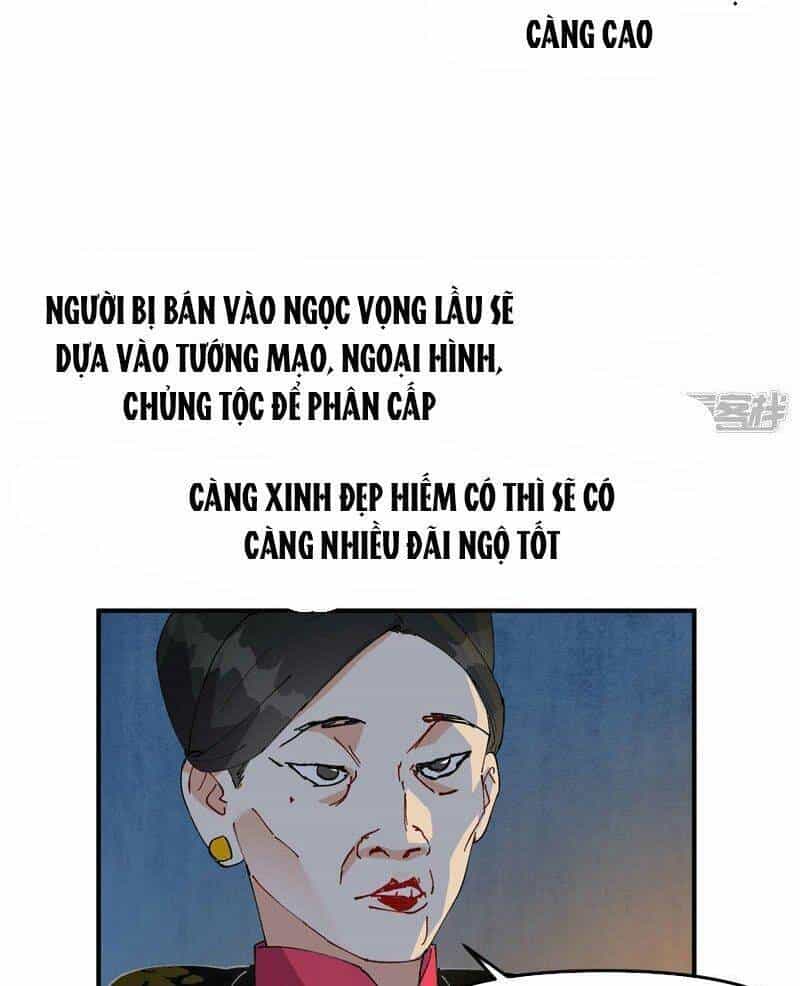 Tối Cường Võ Hồn Hệ Thống - Chương 123 - ảnh 24