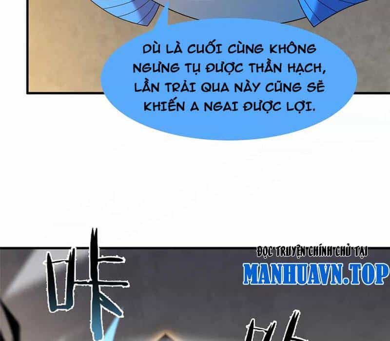 Tối Cường Võ Hồn Hệ Thống - Chương 227 - ảnh 24