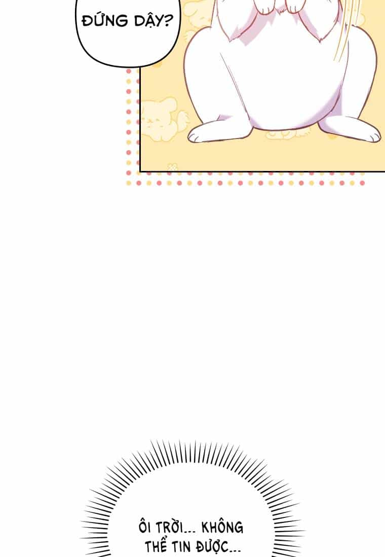 Tôi Đã Bị Quyến Rũ Bởi Nam Chính Ốm Yếu - Chương 18 - ảnh 35