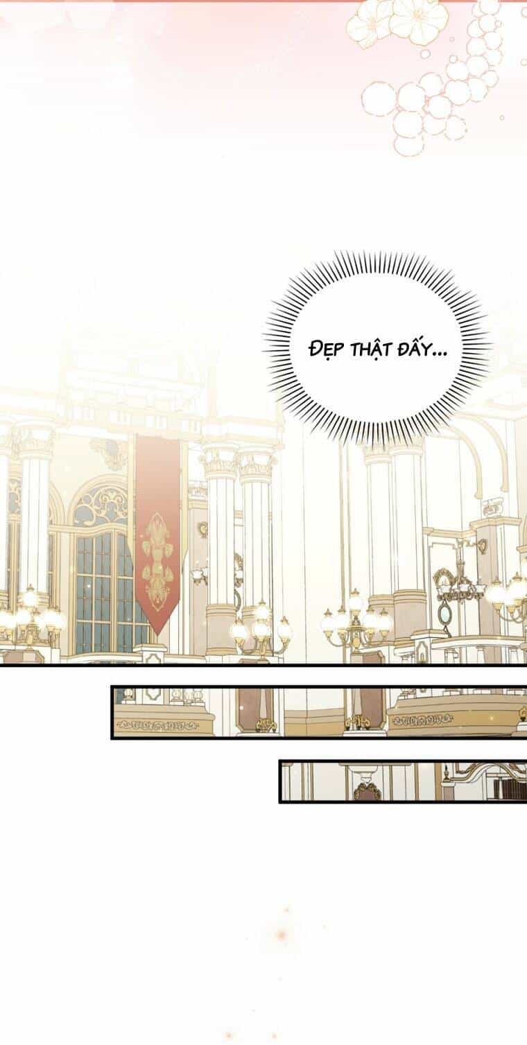Tôi Đã Bị Quyến Rũ Bởi Nam Chính Ốm Yếu - Chương 64 - ảnh 26