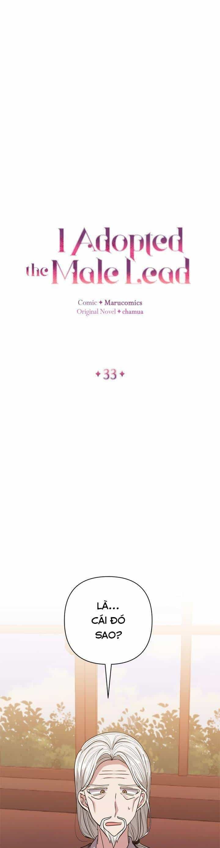 Tôi Đã Nhận Nuôi Nam Chính - Chương 33 - ảnh 11