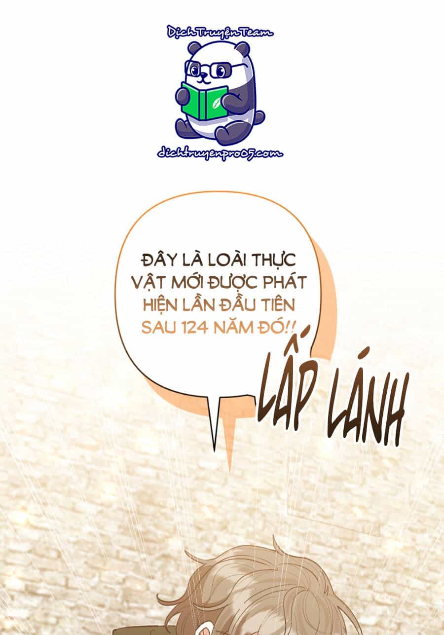 Tôi Đã Nhận Nuôi Nam Chính - Chương 59 - ảnh 89