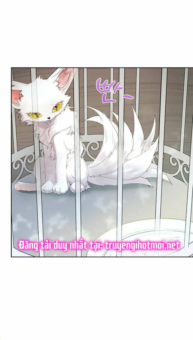 Tôi Đã Nuôi Hồ Ly Sai Cách Rồi - Chương 6.1 - ảnh 5