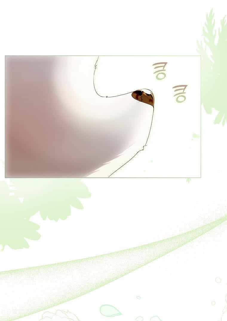 Tôi Đã Nuôi Hồ Ly Sai Cách Rồi - Chương 6.2 - ảnh 21