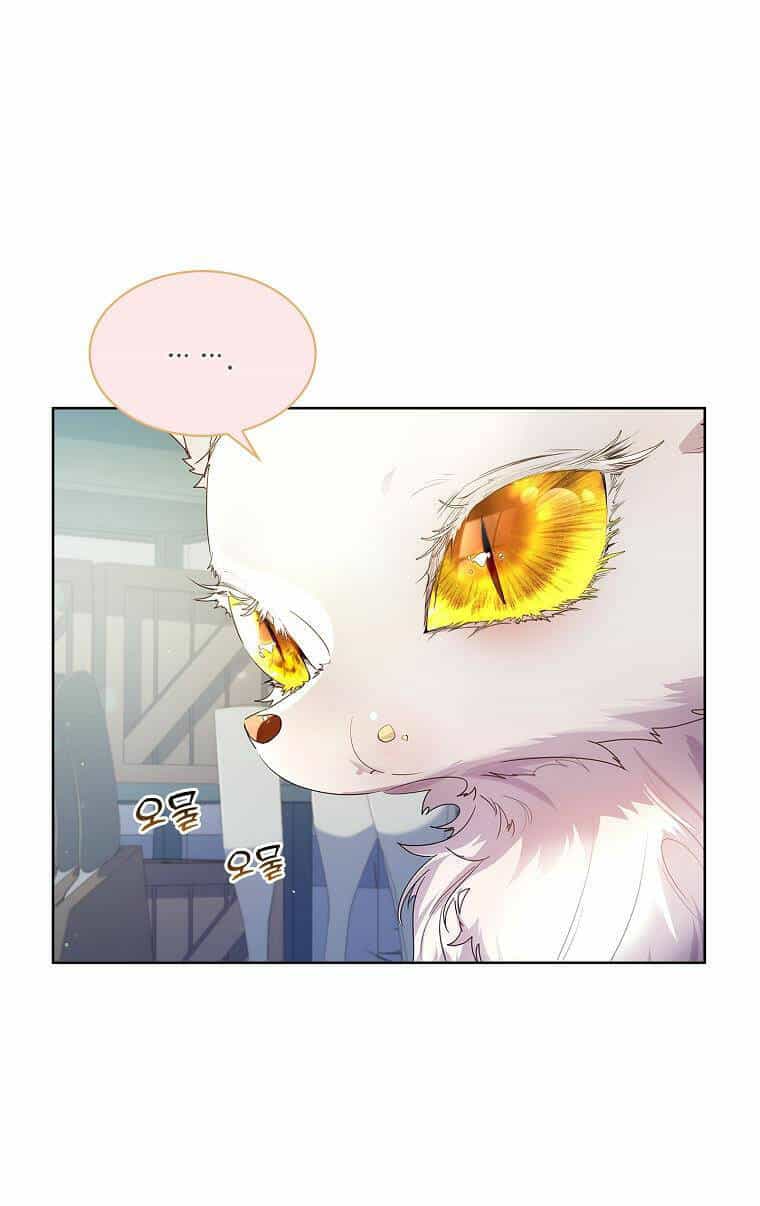 Tôi Đã Nuôi Hồ Ly Sai Cách Rồi - Chương 7.1 - ảnh 24