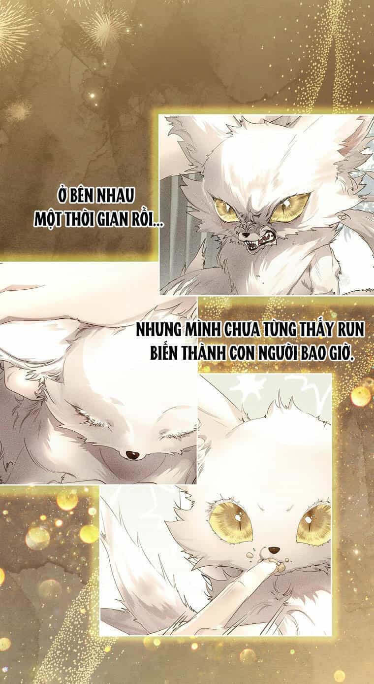 Tôi Đã Nuôi Hồ Ly Sai Cách Rồi - Chương 10.1 - ảnh 5