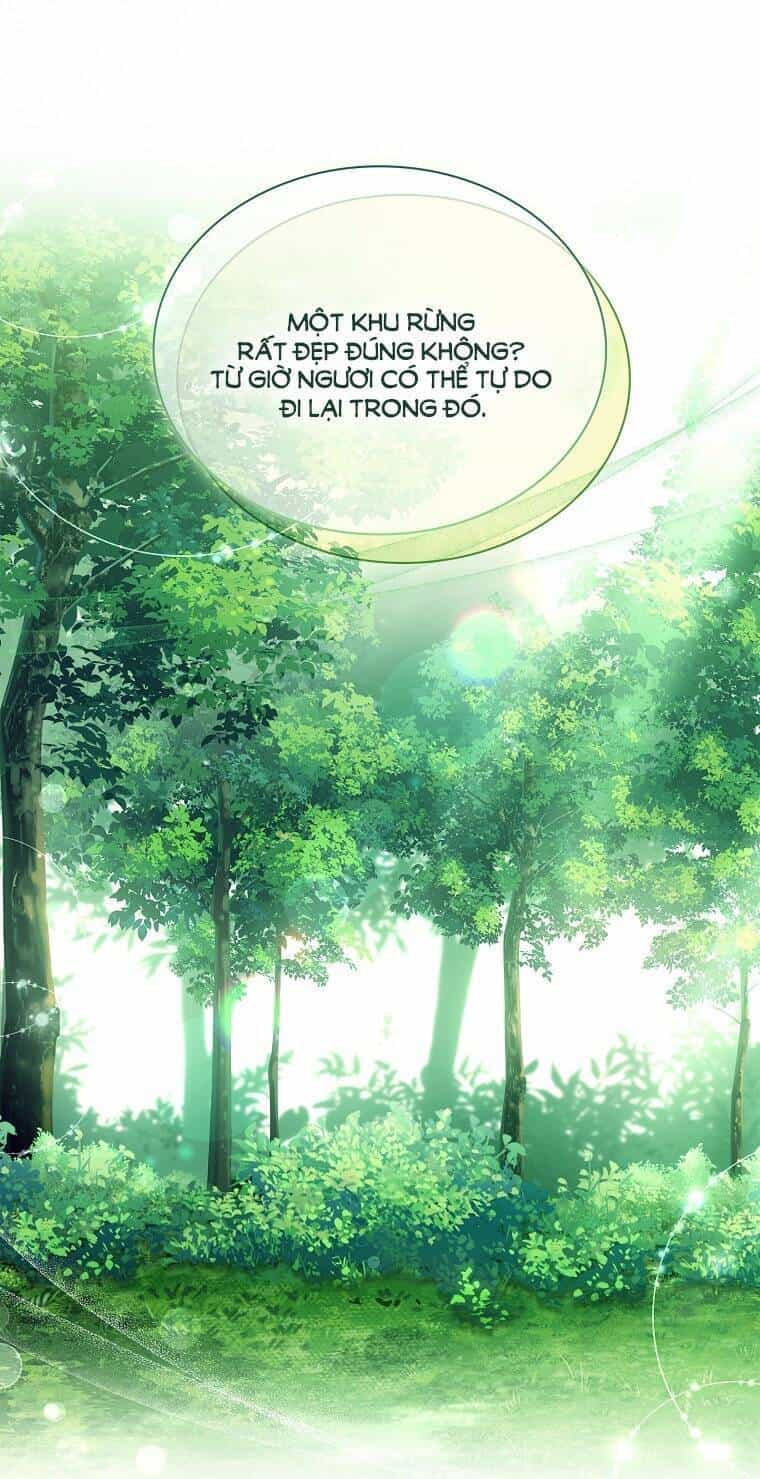 Tôi Đã Nuôi Hồ Ly Sai Cách Rồi - Chương 12.1 - ảnh 7