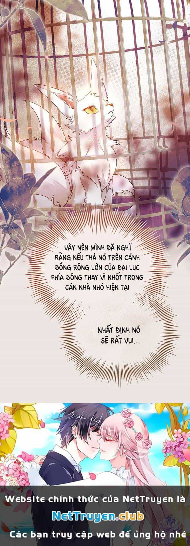 Tôi Đã Nuôi Hồ Ly Sai Cách Rồi - Chương 19.1 - ảnh 44
