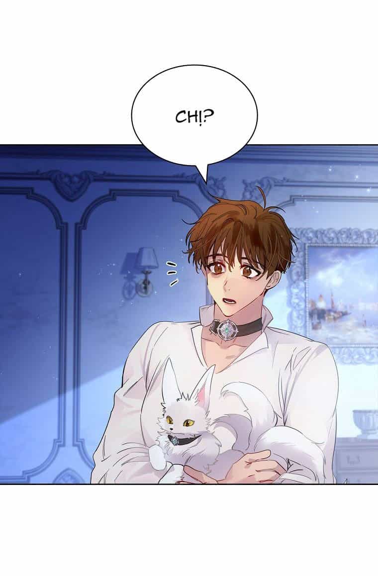 Tôi Đã Nuôi Hồ Ly Sai Cách Rồi - Chương 33 - ảnh 49