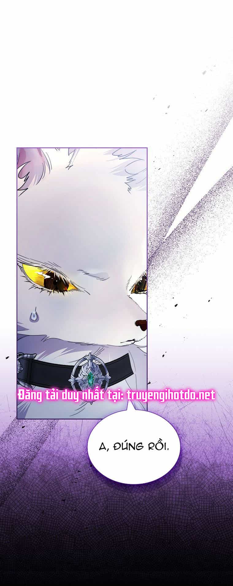 Tôi Đã Nuôi Hồ Ly Sai Cách Rồi - Chương 33 - ảnh 59