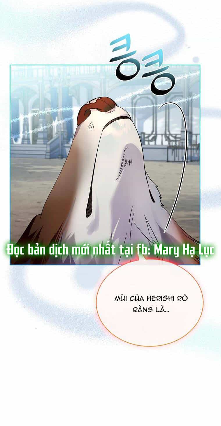 Tôi Đã Nuôi Hồ Ly Sai Cách Rồi - Chương 36 - ảnh 23