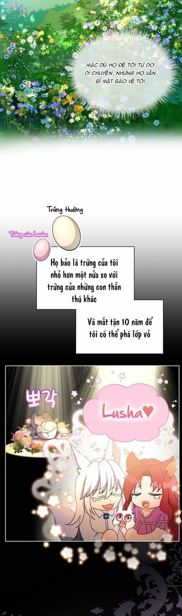 Tôi Đã Tái Sinh Thành Bé Cáo Của Thần - Chương 1 - ảnh 12