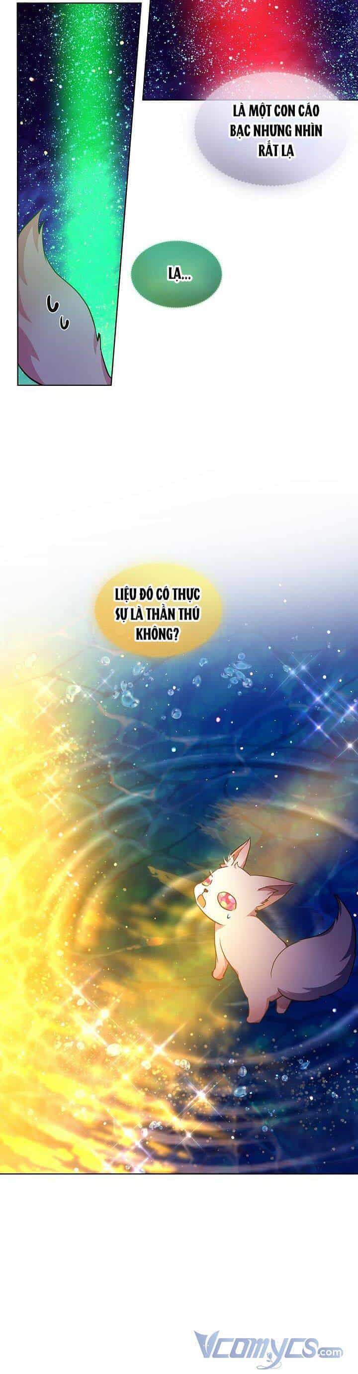Tôi Đã Tái Sinh Thành Bé Cáo Của Thần - Chương 31 - ảnh 15