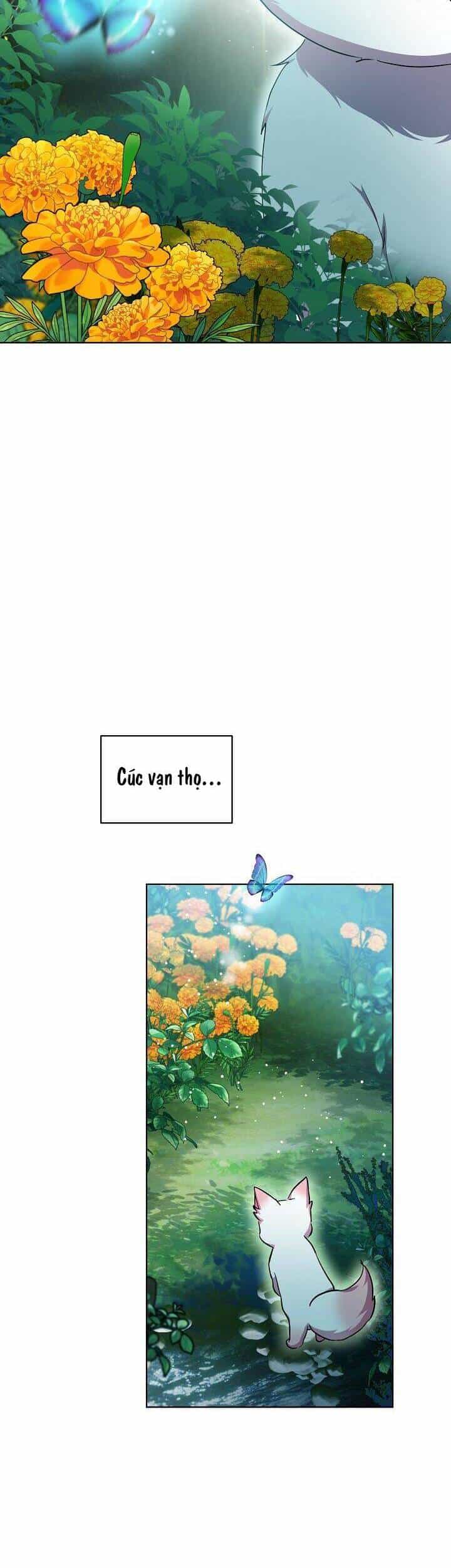 Tôi Đã Tái Sinh Thành Bé Cáo Của Thần - Chương 33 - ảnh 7
