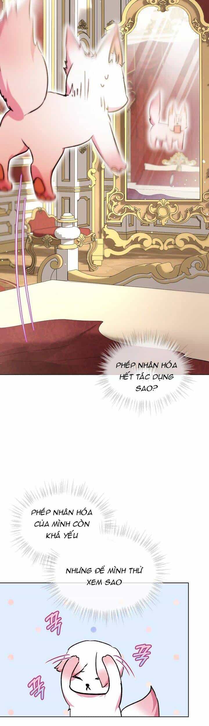 Tôi Đã Tái Sinh Thành Bé Cáo Của Thần - Chương 40 - ảnh 22