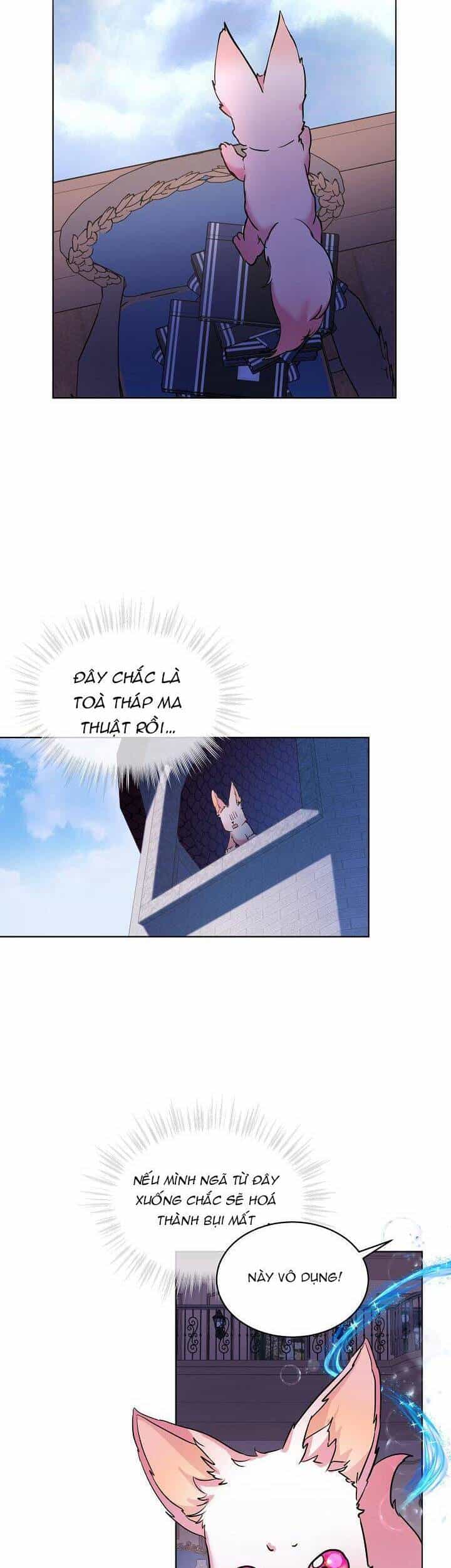 Tôi Đã Tái Sinh Thành Bé Cáo Của Thần - Chương 5 - ảnh 14